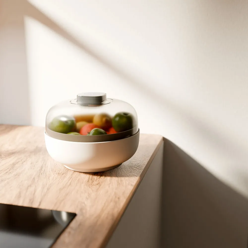 Bowls - Vitesy Fruit Bowl - VITESY