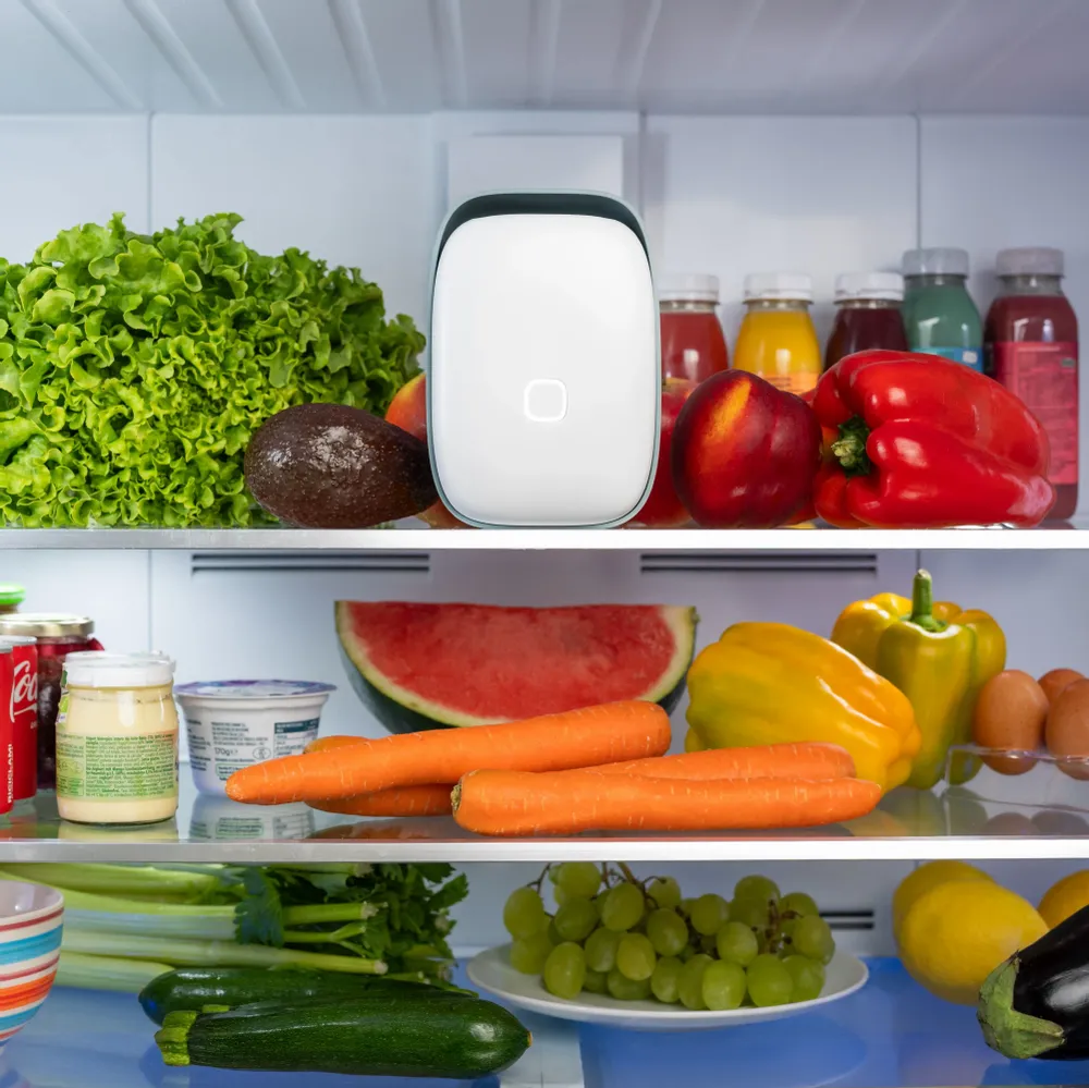 Small household appliances - Vitesy Shelfy Upgraded - VITESY