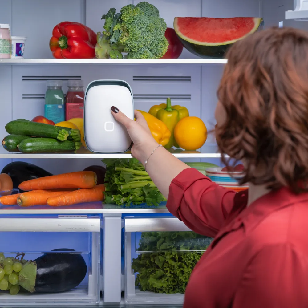 Small household appliances - Vitesy Shelfy Upgraded - VITESY