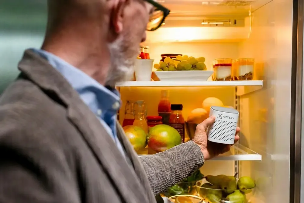 Home fragrances - Vitesy Deo - VITESY