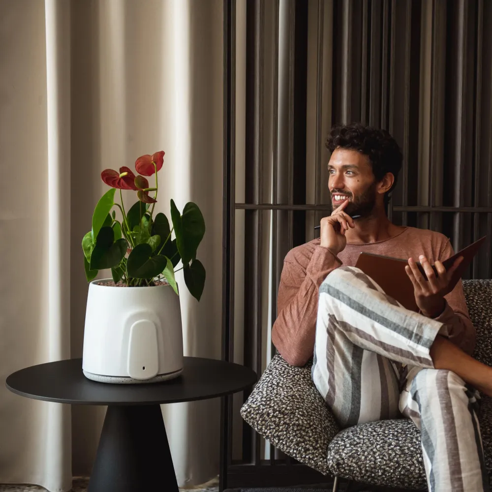 Petit électroménager - Vitesy Natede Smart - VITESY