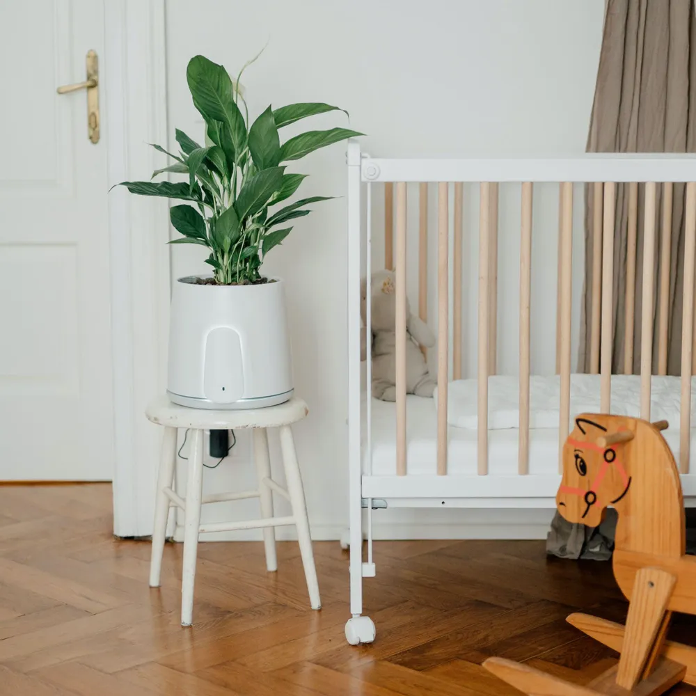 Petit électroménager - Vitesy Natede Smart - VITESY