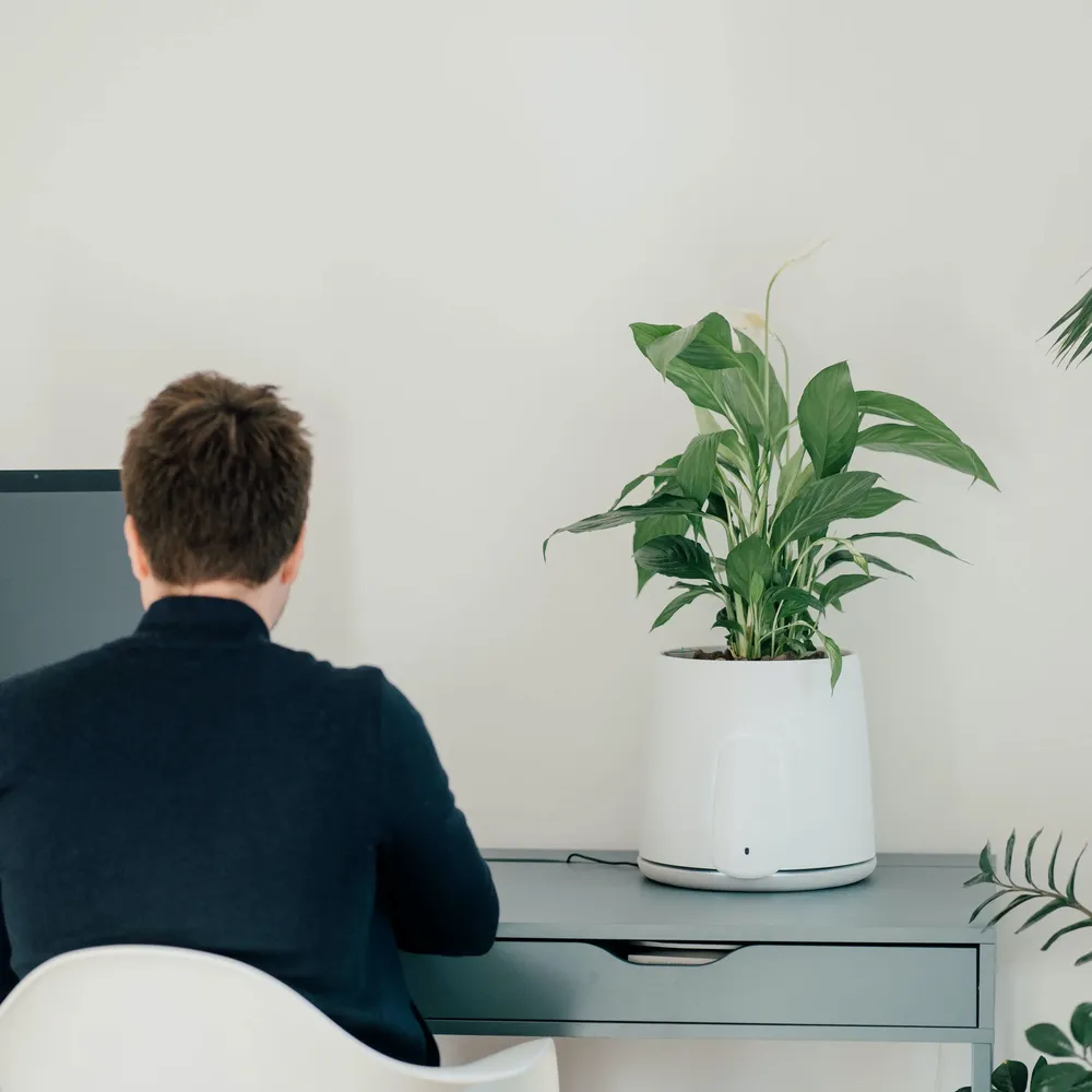 Petit électroménager - Vitesy Natede Smart - VITESY