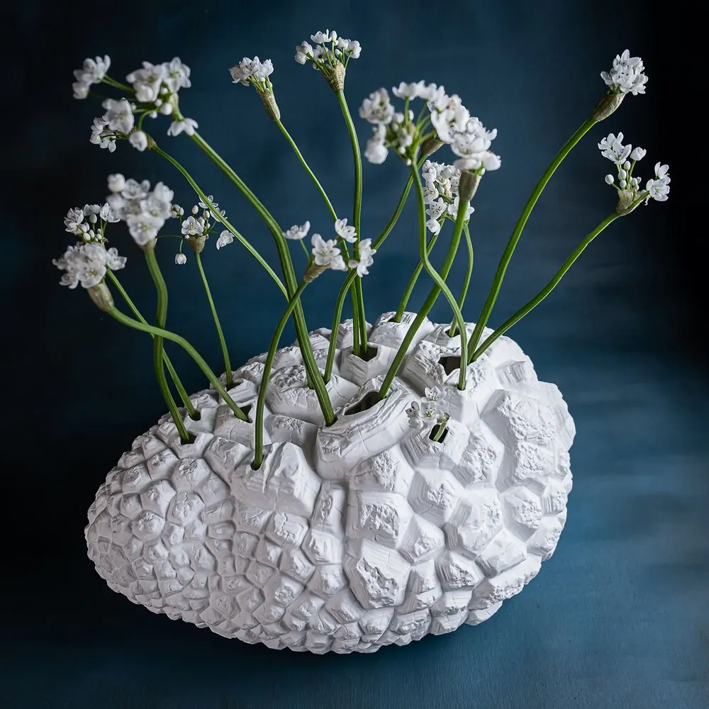Vases - Metamorphose Testudinaria, vase, bone china, white - KLATT OBJECTS