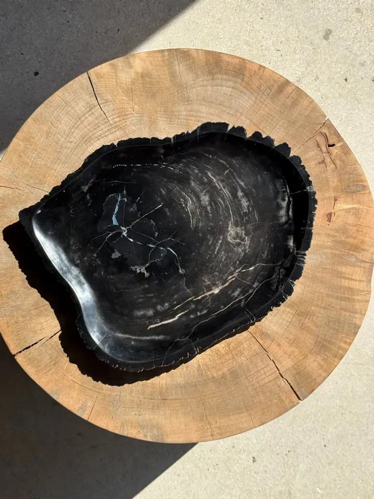 Platter and bowls - Very large empty pouch or dish in black petrified wood D35 - OFFICE OBJETS
