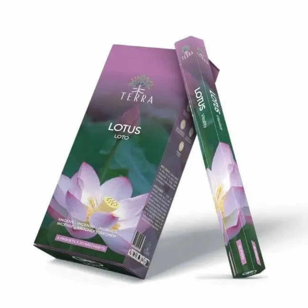 Parfums d'intérieur - Encens Terra Sans Charbon Hexa - Lotus 30g - ARABESK
