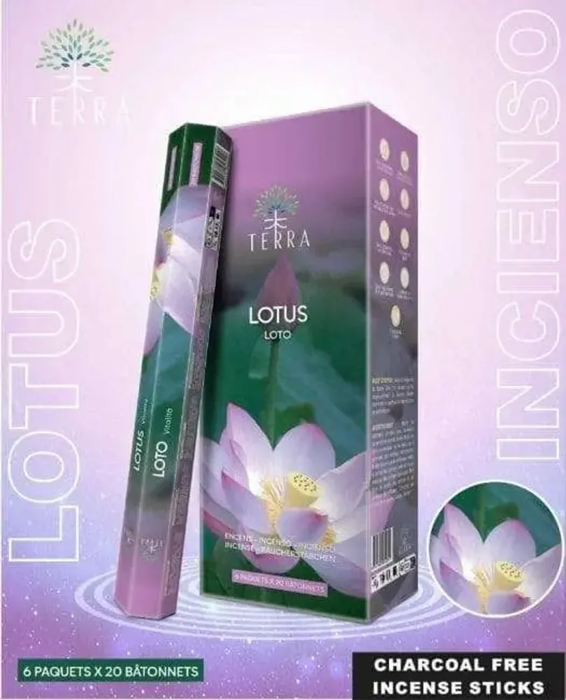 Parfums d'intérieur - Encens Terra Sans Charbon Hexa - Lotus 30g - ARABESK