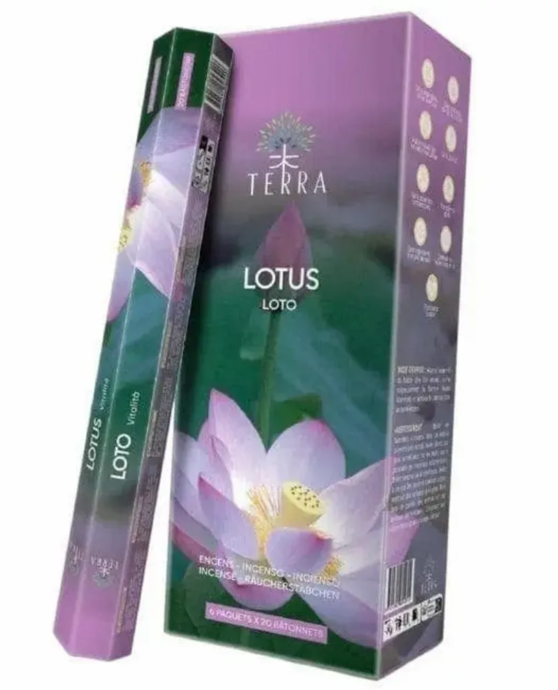 Parfums d'intérieur - Encens Terra Sans Charbon Hexa - Lotus 30g - ARABESK