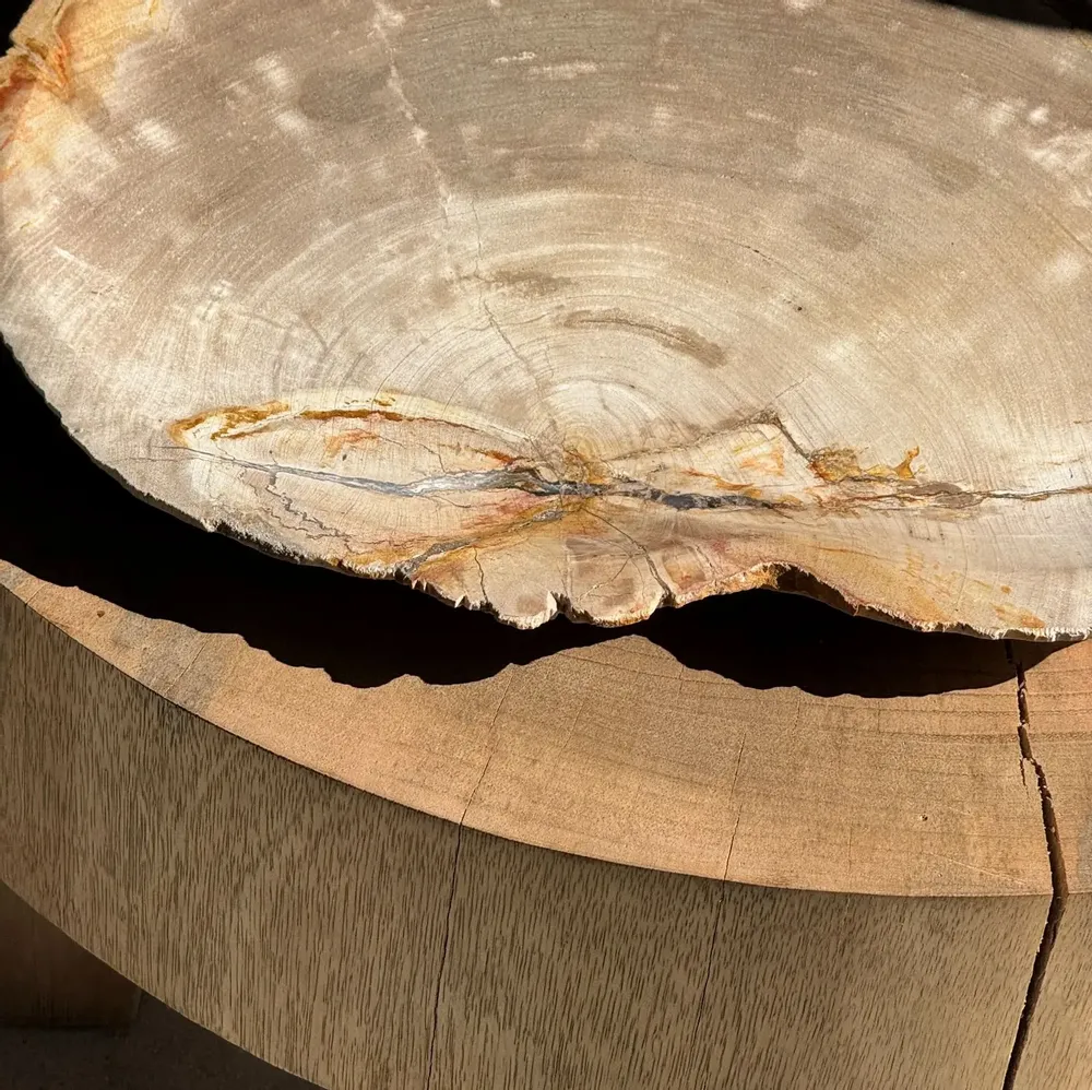 Platter and bowls - Very large empty pouch or dish in beige petrified wood D35 - OFFICE OBJETS