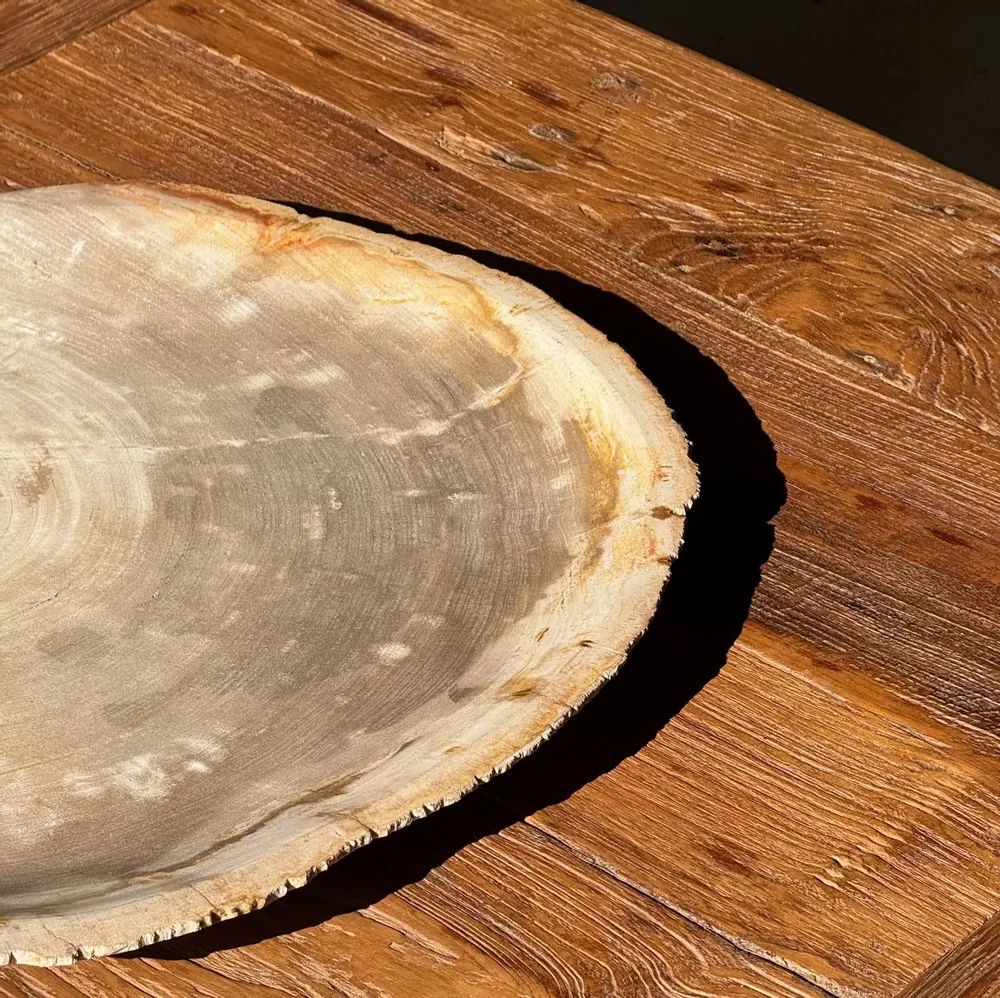 Platter and bowls - Very large empty pouch or dish in beige petrified wood D35 - OFFICE OBJETS
