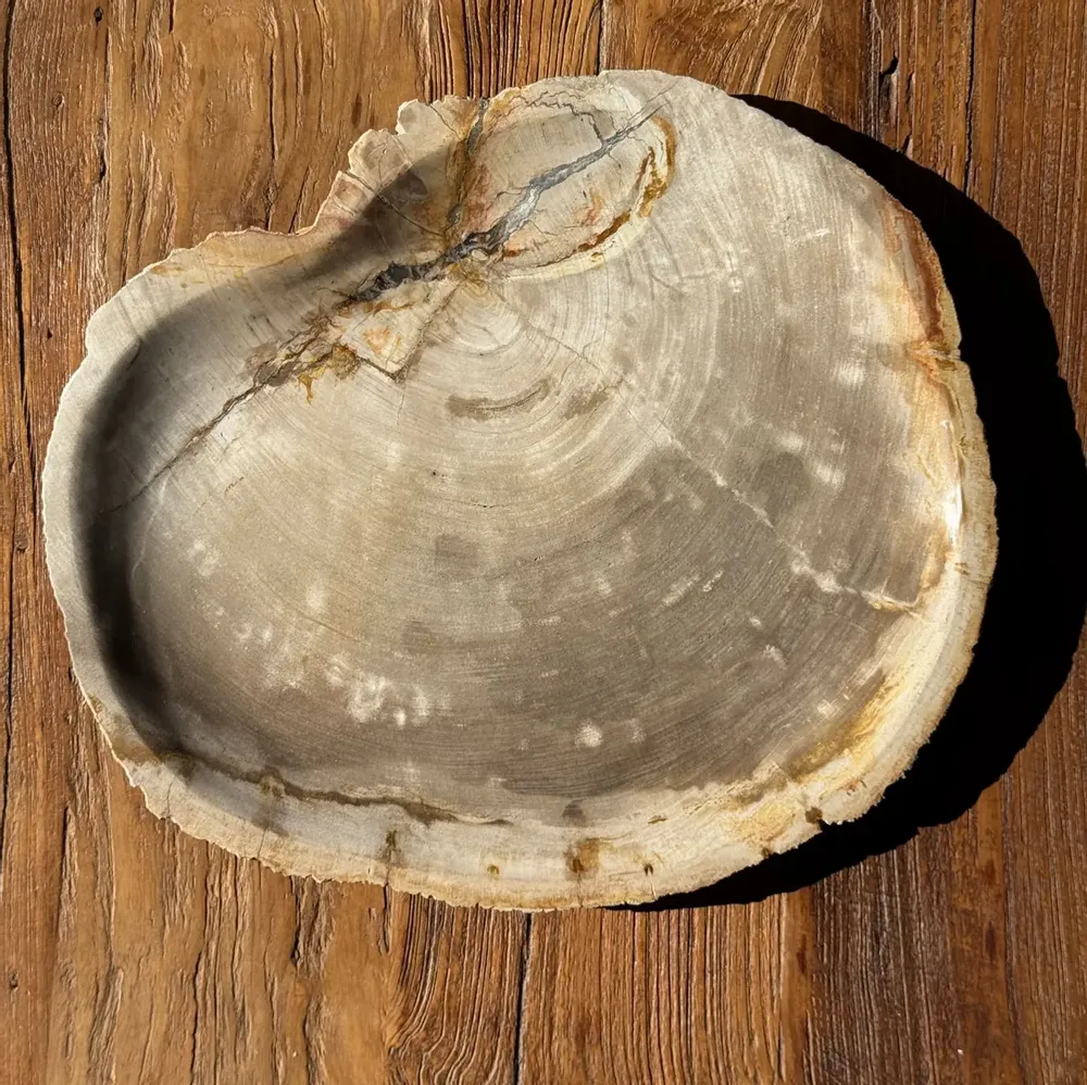 Platter and bowls - Very large empty pouch or dish in beige petrified wood D35 - OFFICE OBJETS