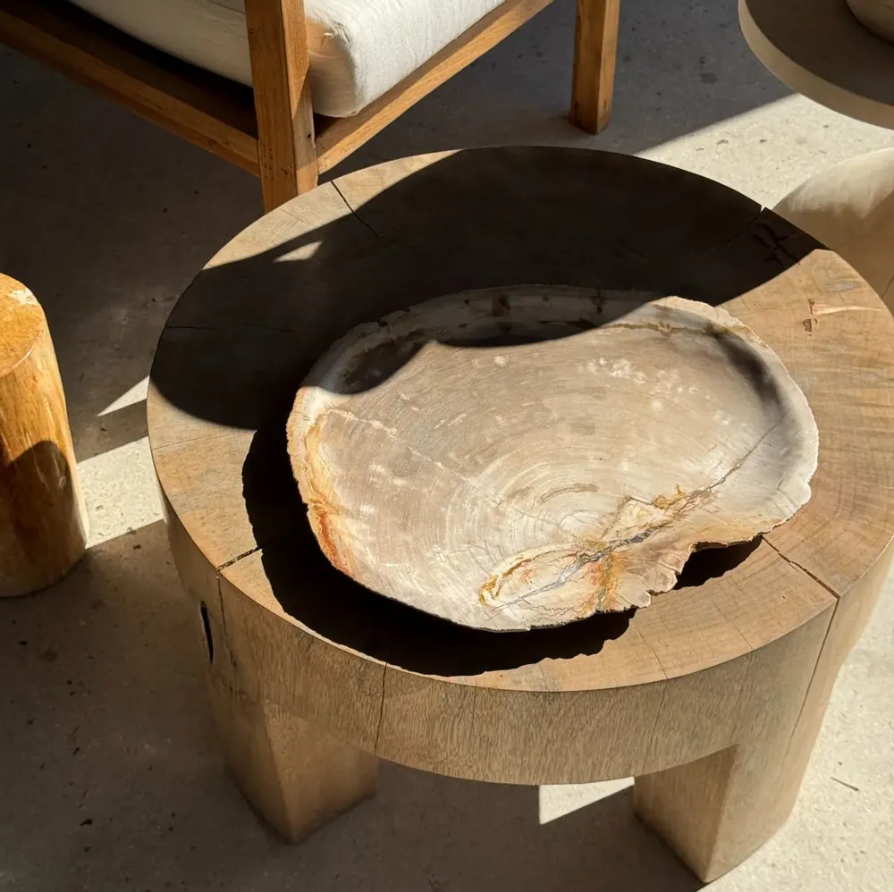 Platter and bowls - Very large empty pouch or dish in beige petrified wood D35 - OFFICE OBJETS