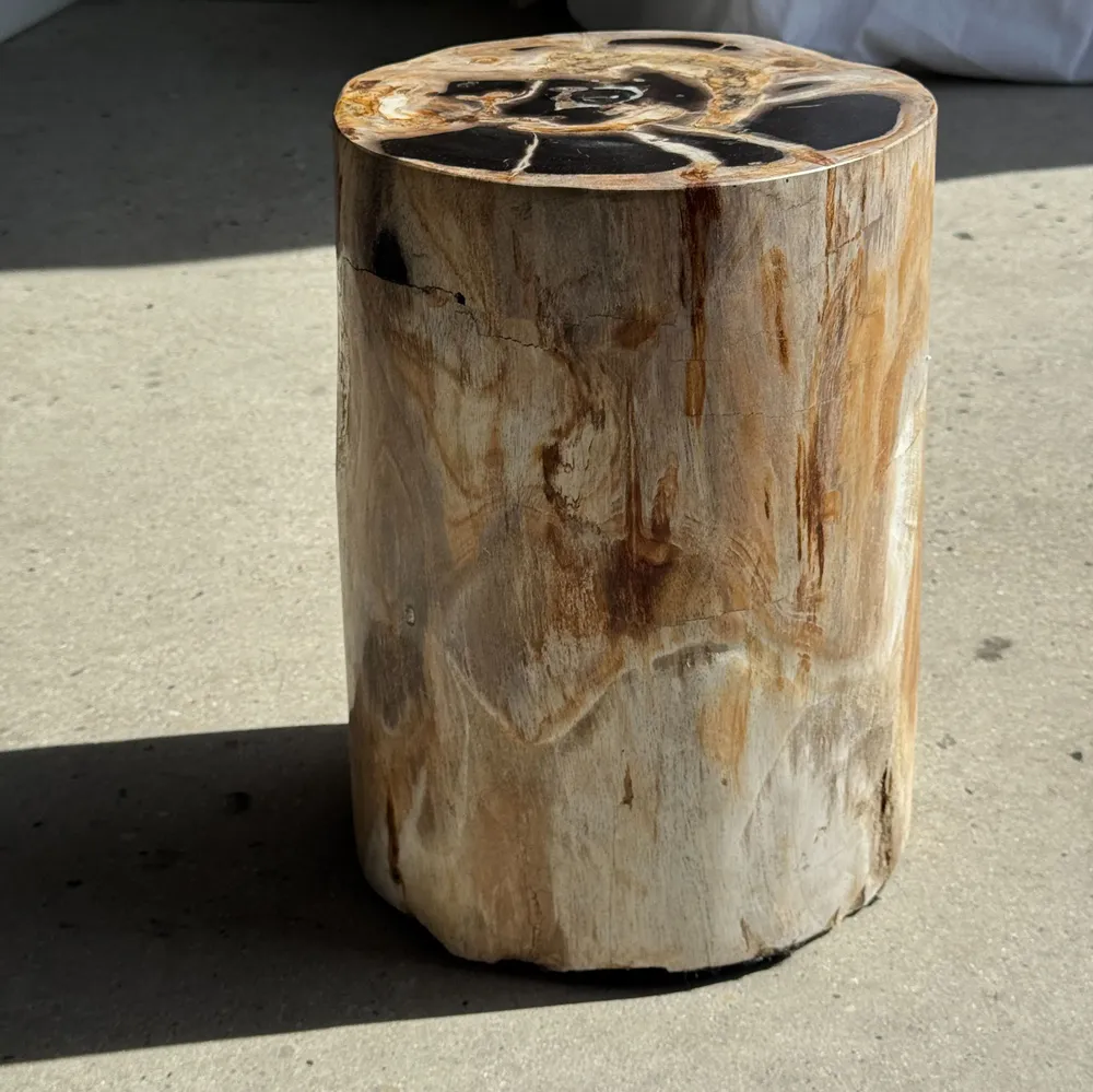 Stools - Multicolor petrified wood side table H45 D24 - 3328 - OFFICE OBJETS