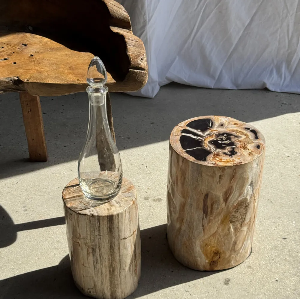 Stools - Multicolor petrified wood side table H45 D24 - 3328 - OFFICE OBJETS