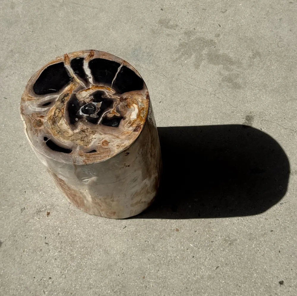 Stools - Multicolor petrified wood side table H45 D24 - 3328 - OFFICE OBJETS