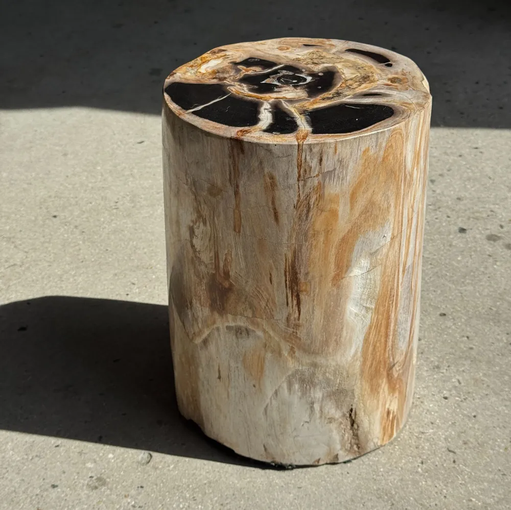 Stools - Multicolor petrified wood side table H45 D24 - 3328 - OFFICE OBJETS