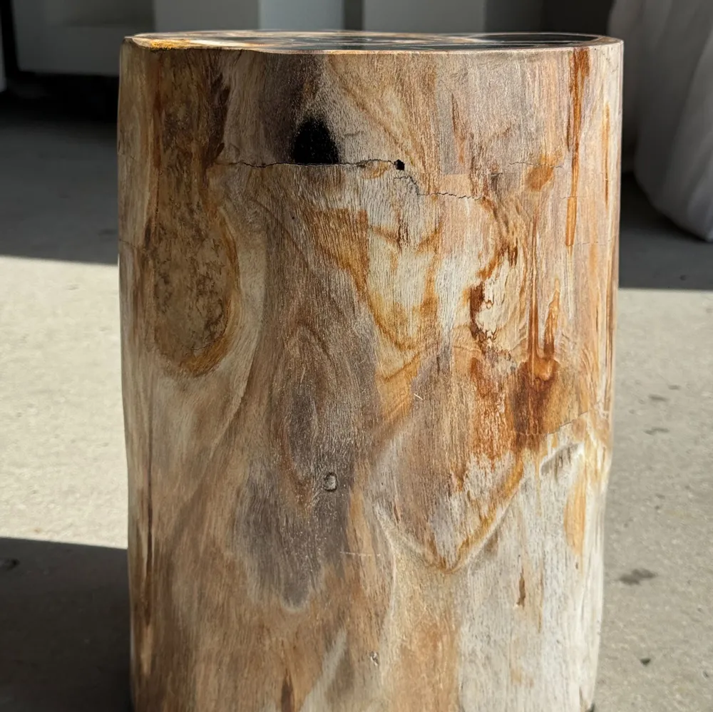 Stools - Multicolor petrified wood side table H45 D24 - 3328 - OFFICE OBJETS