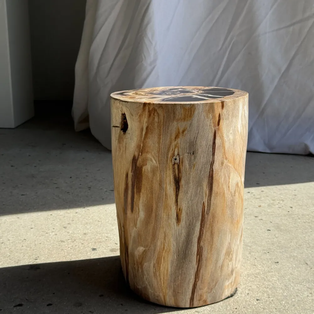 Coffee tables - Multicolor petrified wood side table H45 D24 - 3329 - OFFICE OBJETS