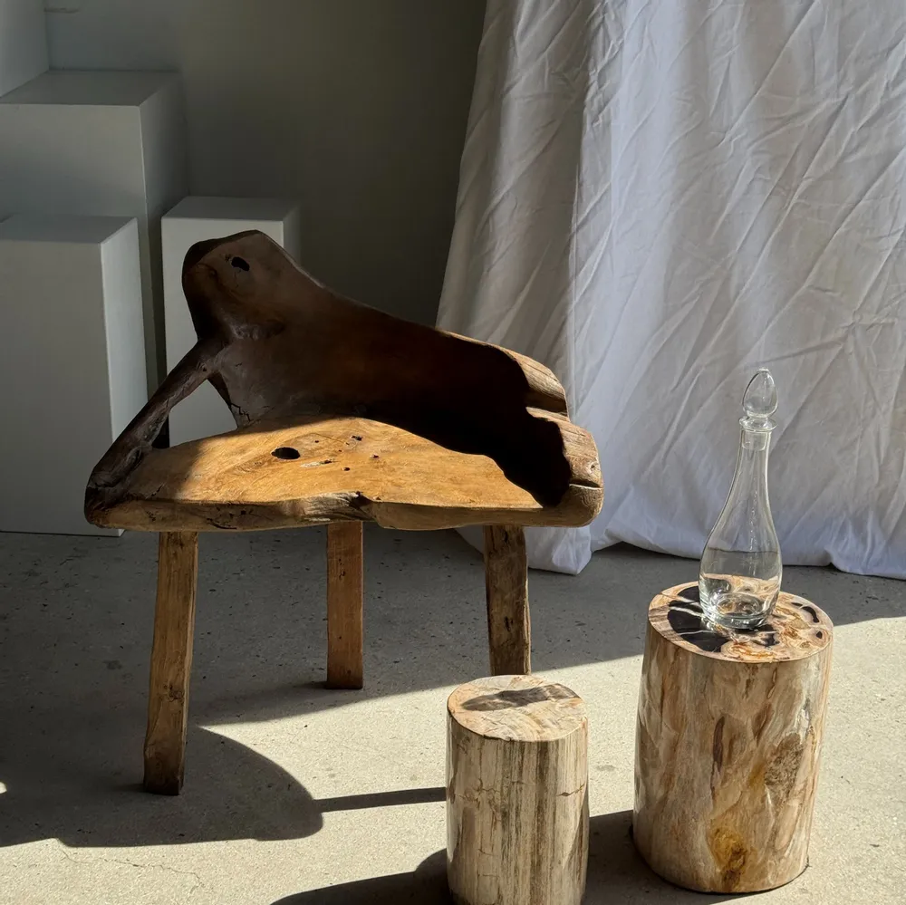 Coffee tables - Multicolor petrified wood side table H45 D24 - 3329 - OFFICE OBJETS