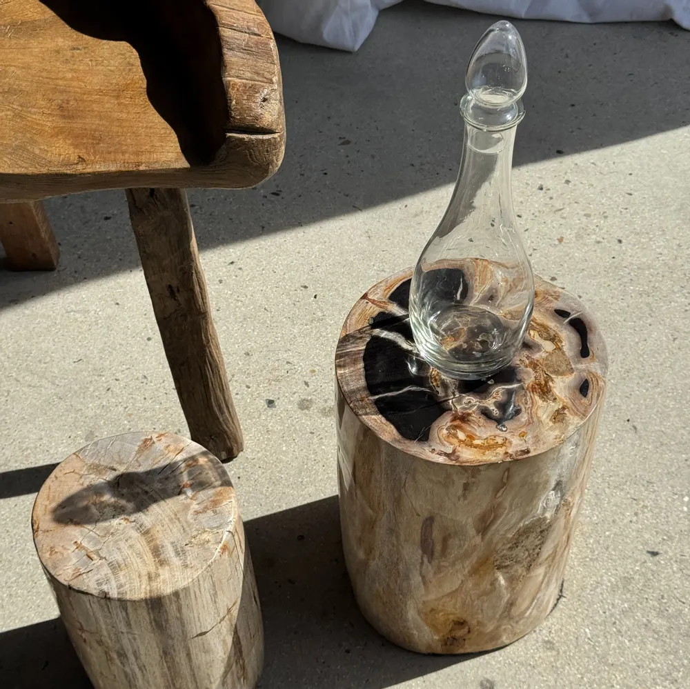 Coffee tables - Multicolor petrified wood side table H45 D24 - 3329 - OFFICE OBJETS