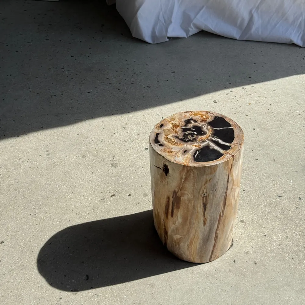 Coffee tables - Multicolor petrified wood side table H45 D24 - 3329 - OFFICE OBJETS