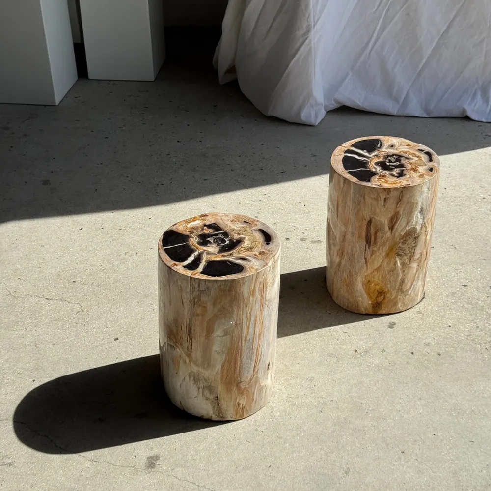 Coffee tables - Multicolor petrified wood side table H45 D24 - 3329 - OFFICE OBJETS