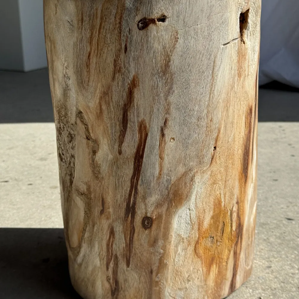 Coffee tables - Multicolor petrified wood side table H45 D24 - 3329 - OFFICE OBJETS