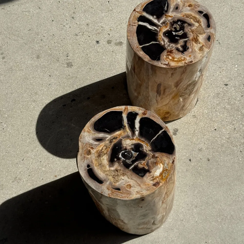 Coffee tables - Multicolor petrified wood side table H45 D24 - 3329 - OFFICE OBJETS
