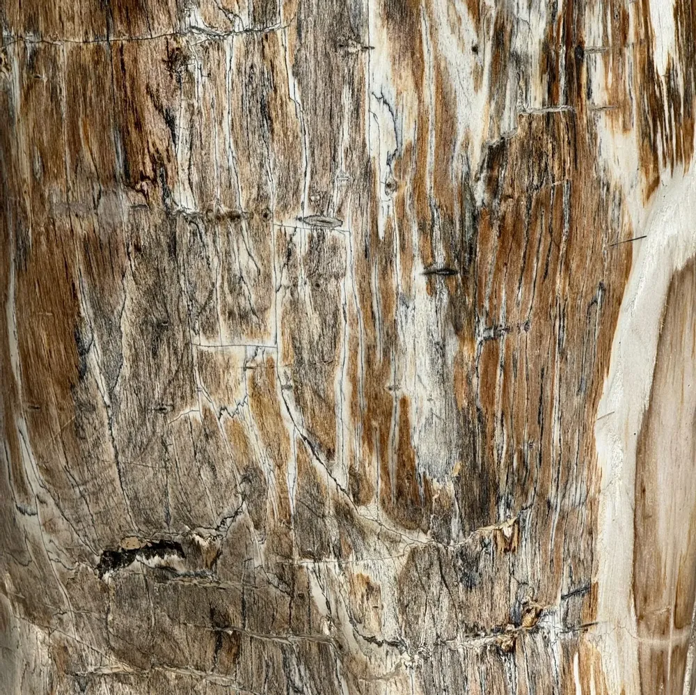 Coffee tables - Very large white and gray petrified wood side table H45 D39 - OFFICE OBJETS