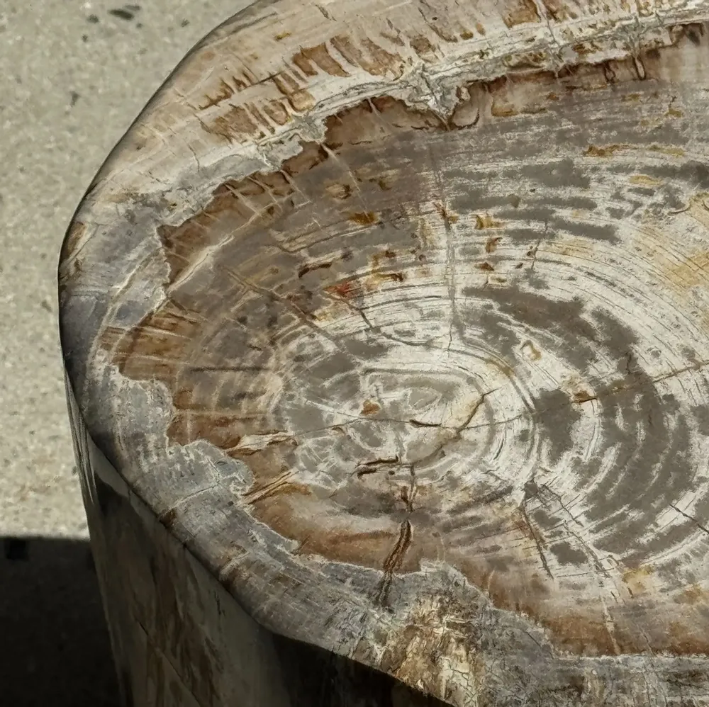 Coffee tables - Very large white and gray petrified wood side table H45 D39 - OFFICE OBJETS