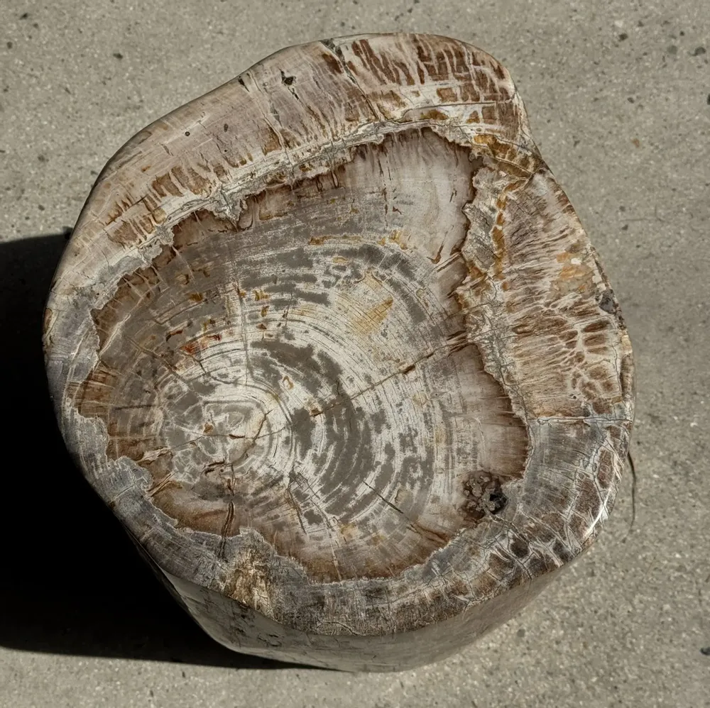 Coffee tables - Very large white and gray petrified wood side table H45 D39 - OFFICE OBJETS