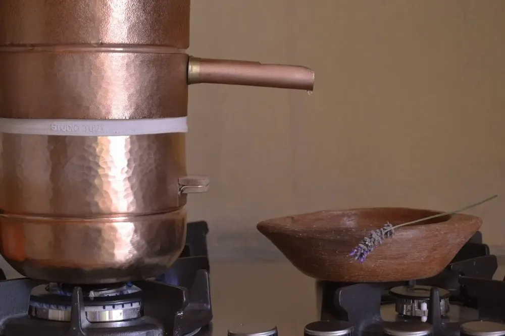Small household appliances - Mini Karake - STUDIO TUUT
