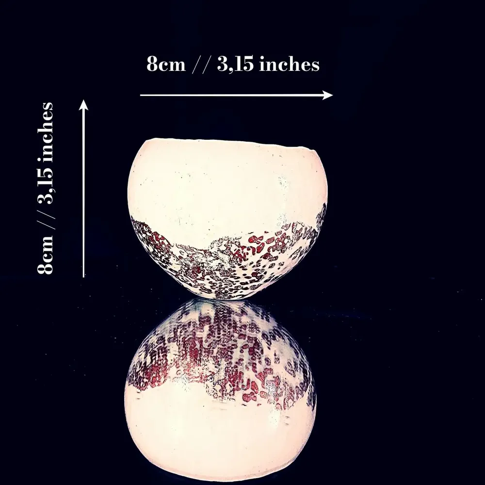 Objets de décoration - Coquille - PONPON CURIOSITAS