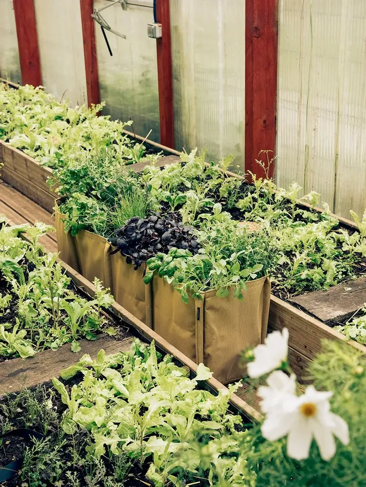 Jardinières - JARDINIÈRE BACLONG - BACSAC®