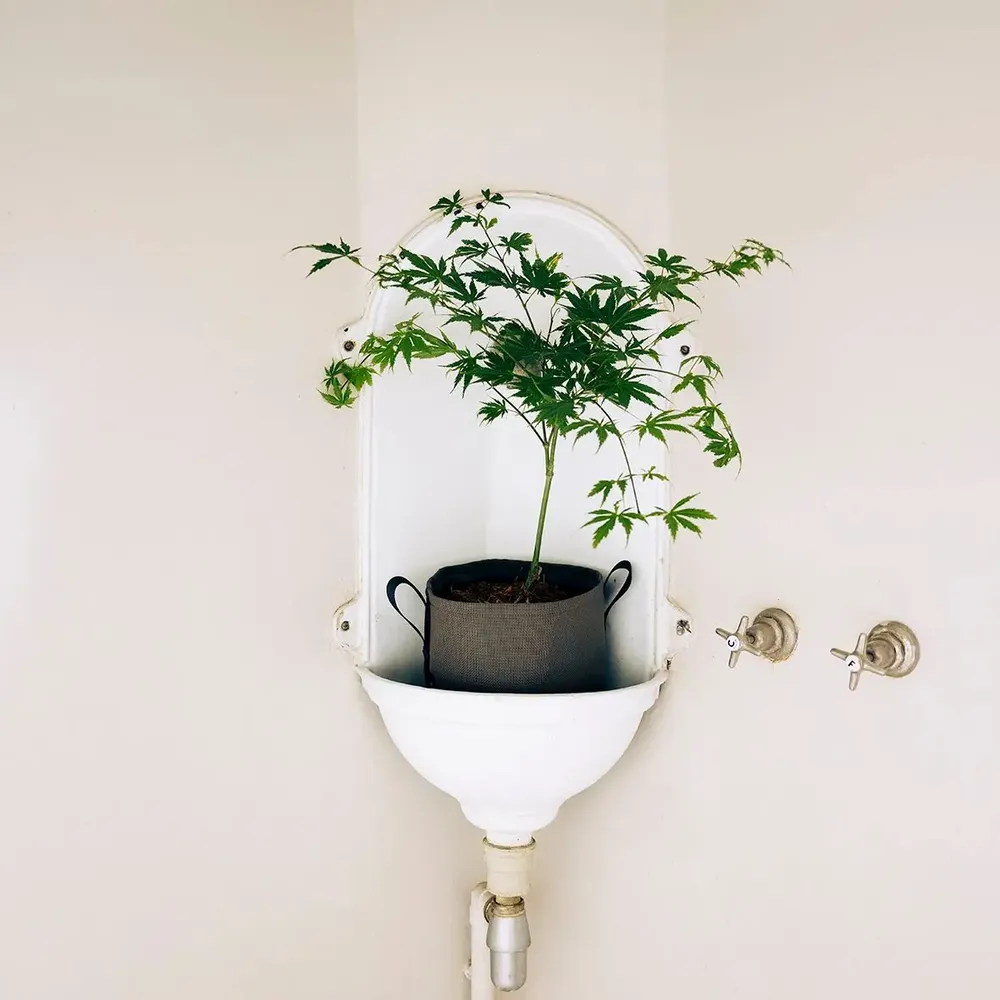 Pots de fleurs - POTS CLASSIQUES - BACSAC®