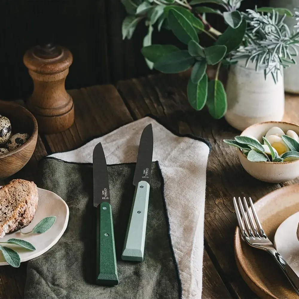 Knives - Table knives - Bon Appetit wood - OPINEL