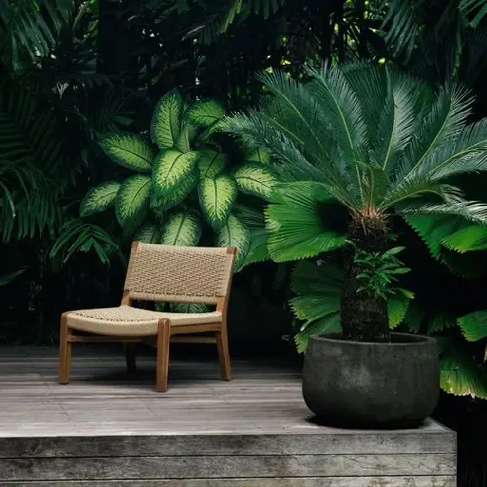 Fauteuils de jardin - Fauteuil extérieur Babé en teck massif recyclé et corde tressée - DESIGN TRIP