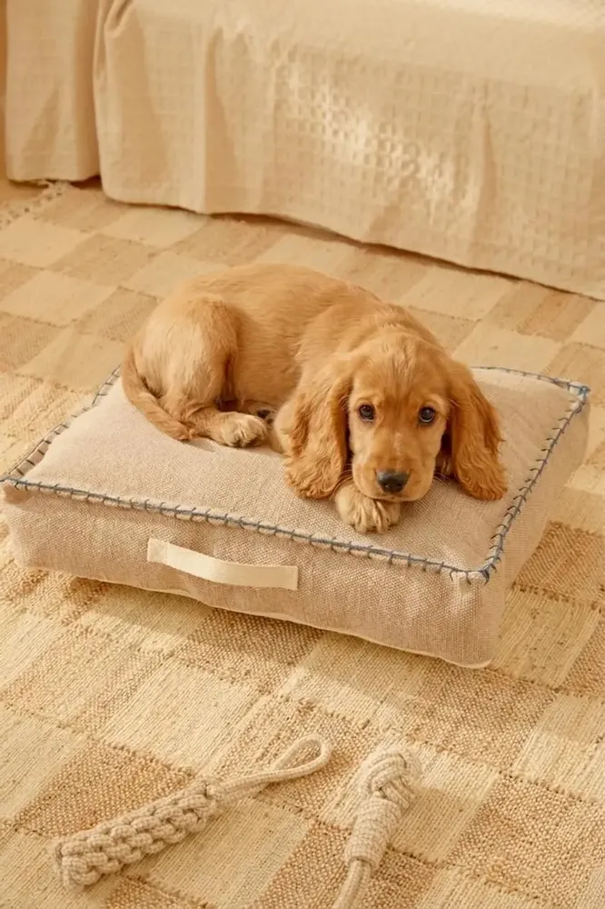 Accessoires animaux - ACCESSOIRES POUR ANIMAUX DE COMPAGNIE - CALMA HOUSE