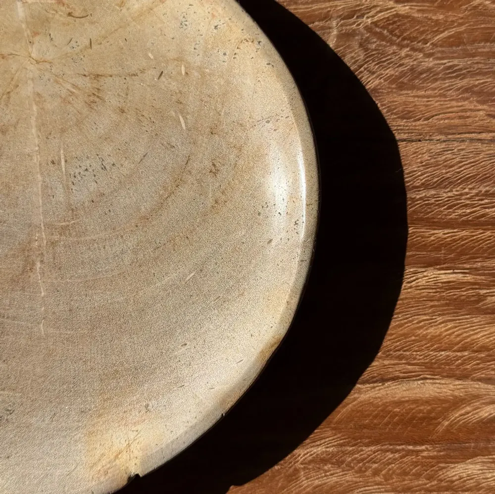 Formal plates - Small empty pouch or dish in plain beige oval petrified wood D24-19 -3 - OFFICE OBJETS
