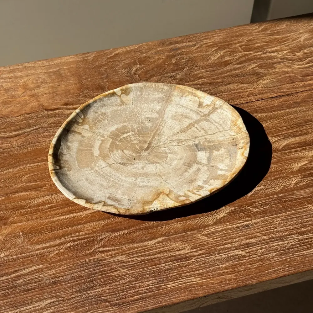 Assiettes de réception - Petit vide poche ou plat en bois pétrifié ovale beige cernes moucheté - OFFICE OBJETS