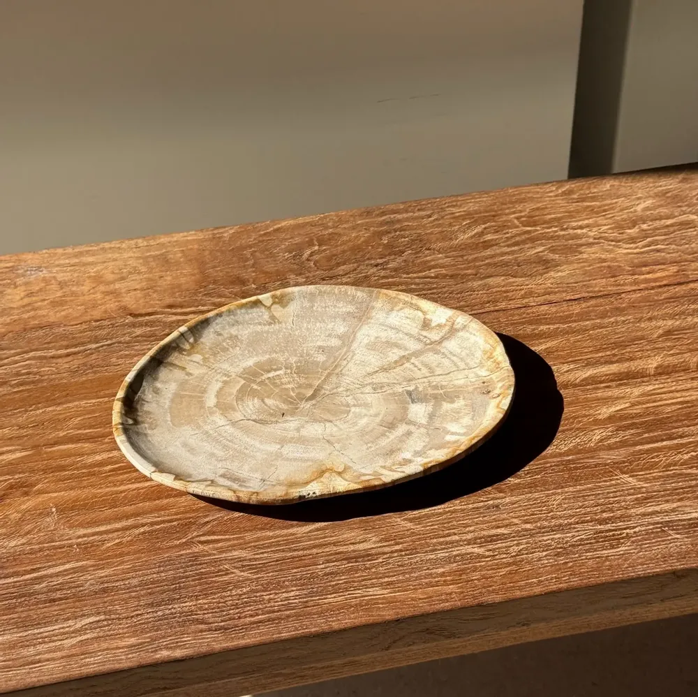 Assiettes de réception - Petit vide poche ou plat en bois pétrifié ovale beige cernes moucheté - OFFICE OBJETS