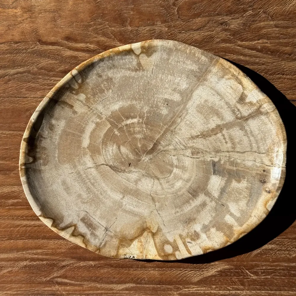 Assiettes de réception - Petit vide poche ou plat en bois pétrifié ovale beige cernes moucheté - OFFICE OBJETS