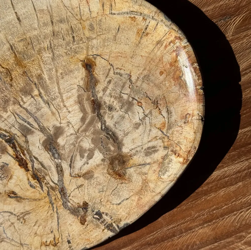Platter and bowls - Small empty pouch or dish in beige petrified wood oval with crystal ri - OFFICE OBJETS