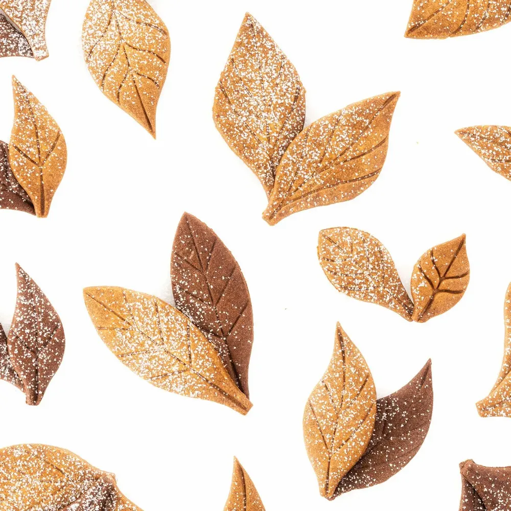 Kitchen utensils - VOILA' COOKIE - LEAVES - COOKIE SHAPER 240X150 H 20 MM - SILIKOMART S.R.L.