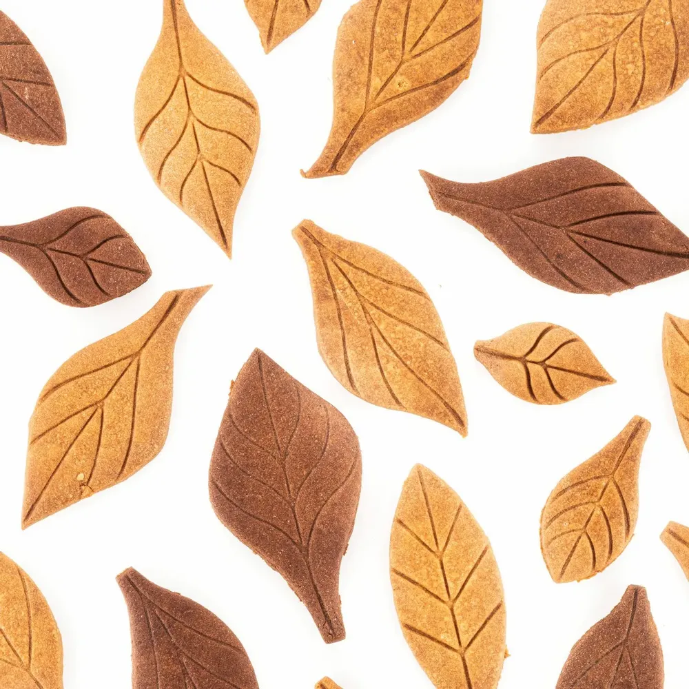 Kitchen utensils - VOILA' COOKIE - LEAVES - COOKIE SHAPER 240X150 H 20 MM - SILIKOMART S.R.L.