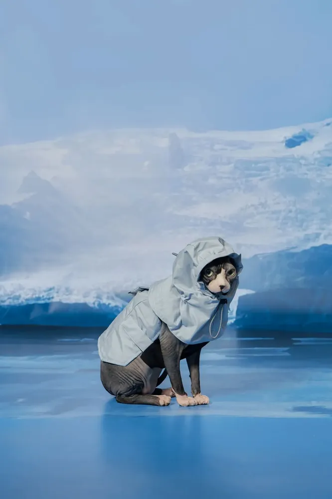 Pet accessories - Yama Paws/Sade Rain Jacket Grey Blue - MOMOTONE