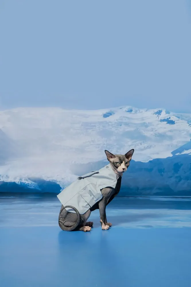 Pet accessories - Yama Paws/Sade Rain Jacket Grey Blue - MOMOTONE