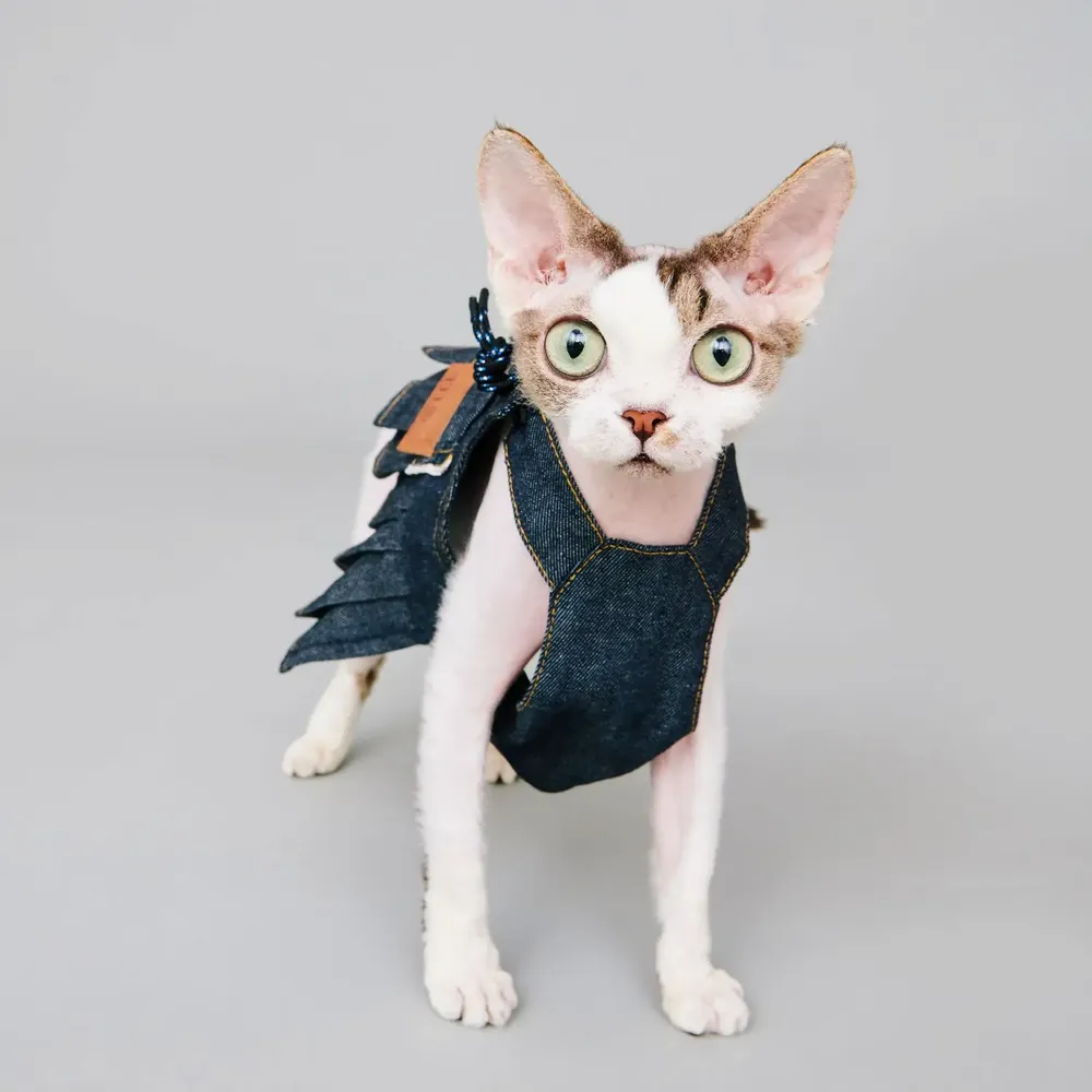 Pet accessories - Okayama / Denim Dungaree Dress - MOMOTONE
