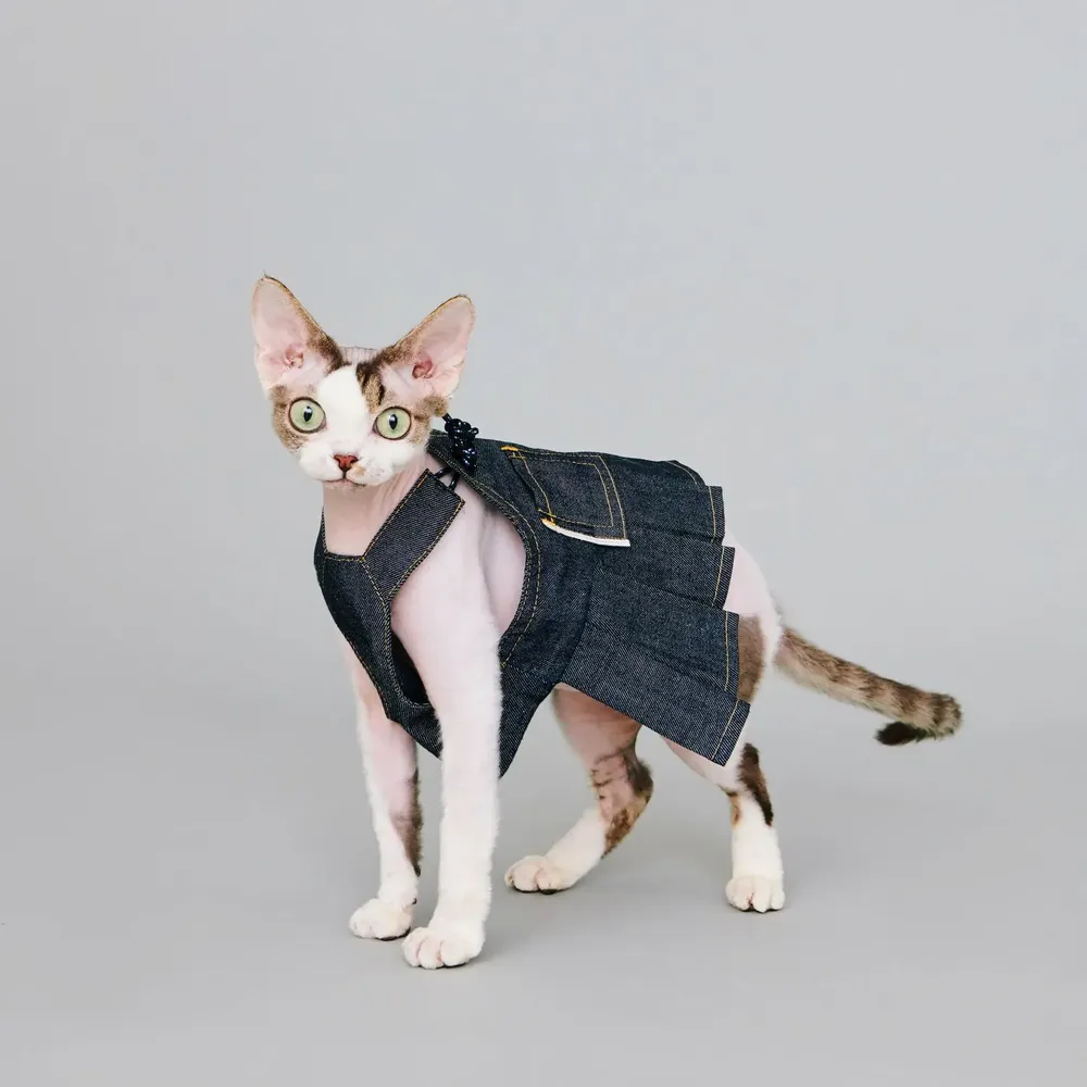 Pet accessories - Okayama / Denim Dungaree Dress - MOMOTONE