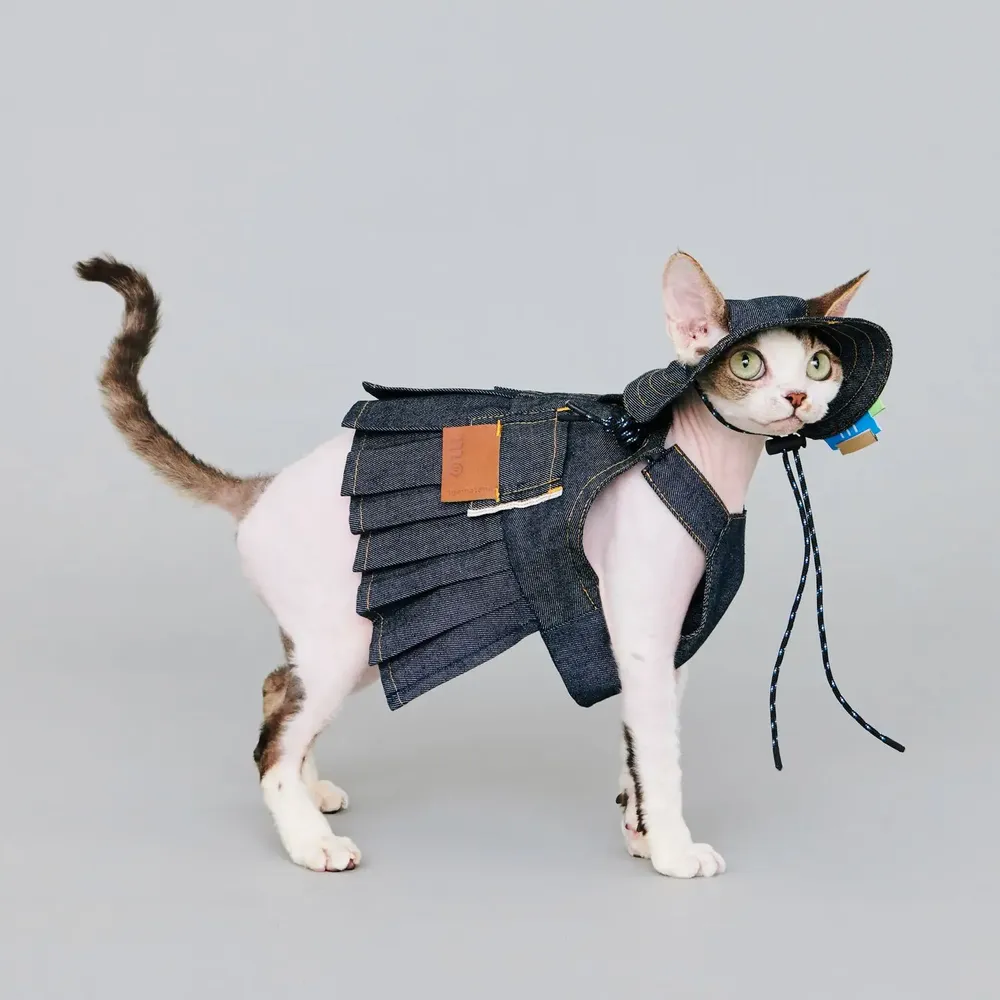 Pet accessories - Okayama / Denim Dungaree Dress - MOMOTONE